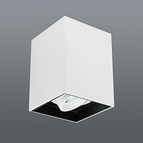 Spazio Lone Square Tiltable Downlight - White/black insert