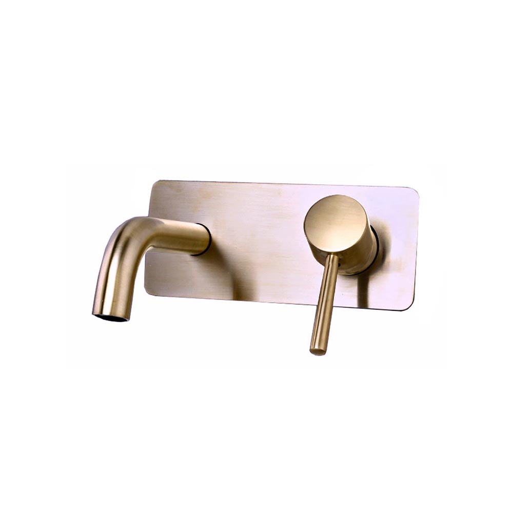 Trendy Taps Wall Mounted Mixer & Back Plate Brass