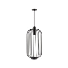 Load image into Gallery viewer, DARK Voliere Pendant
