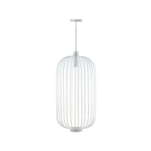 Load image into Gallery viewer, DARK Voliere Pendant
